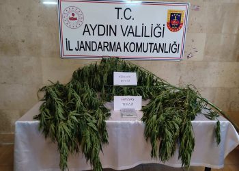 Germencik’in  Hıdırbeyli Mahallesinde Uyuşturucu Operasyonu