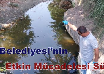 Söke Belediyesi’nin etkin mücadelesi sürüyor