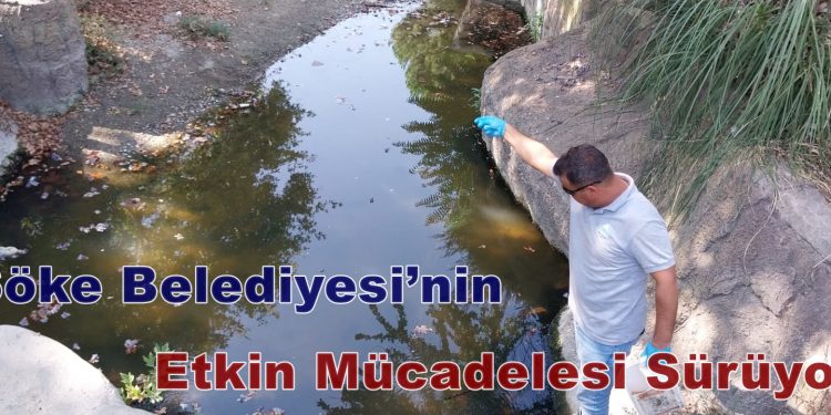 Söke Belediyesi’nin etkin mücadelesi sürüyor