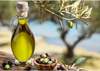 Zeytinyağı’nda yok yılı
