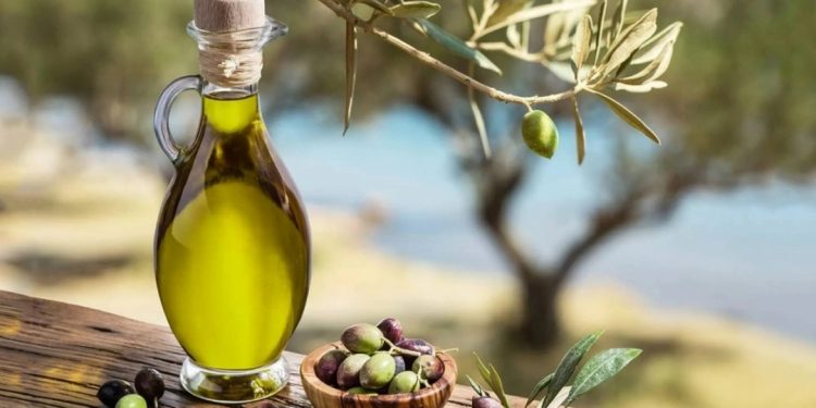 Zeytinyağı’nda yok yılı
