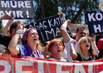 Akbelen’de valilik kararına rağmen ağaç katliamı devam etti