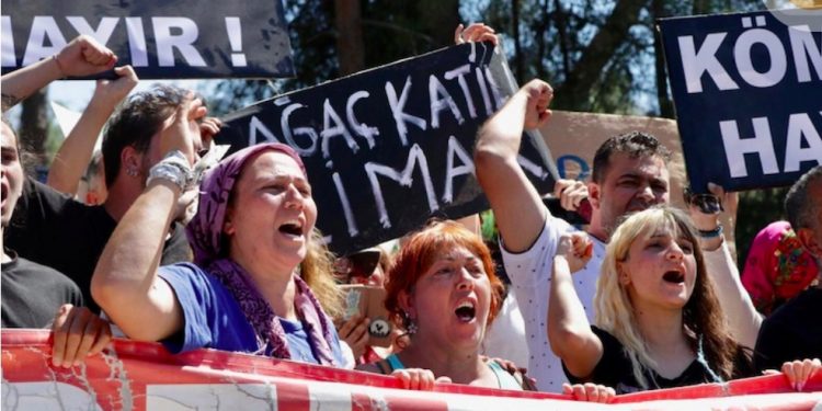 Akbelen’de valilik kararına rağmen ağaç katliamı devam etti