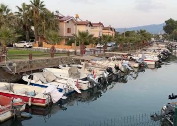 AYDIN’IN YÜZ AKI DAVUTLAR SEVGİ PLAJI BARINAĞI👇👇👇👇👇👇👇👇👇👇👇👇👇👇