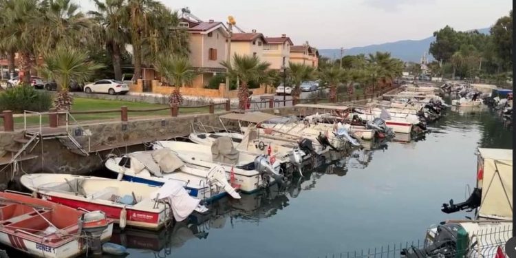 AYDIN’IN YÜZ AKI DAVUTLAR SEVGİ PLAJI BARINAĞI👇👇👇👇👇👇👇👇👇👇👇👇👇👇