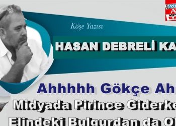 Ahh Gökçe Ahhhhh.. midyada pirince giderken elindeki bulgurdan da oldun