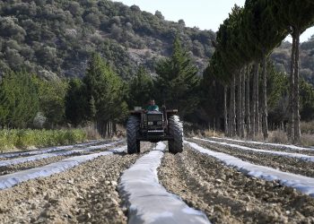 ADABAHÇE’DE KIŞ HAZIRLIKLARI BAŞLADI
