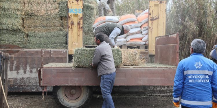 ÖZLEM ÇERÇİOĞLU’NDAN ZOR DURUMDAKİ ÜRETİCİYE YEM VE YONCA DESTEĞİ