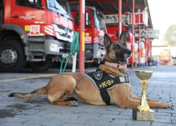 ‘ZEYNA’DAN BÜYÜK BAŞARI
