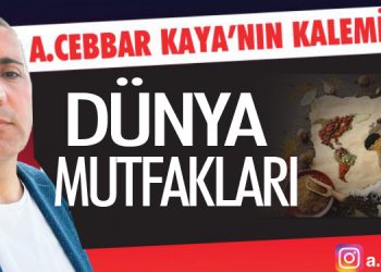 Dünya mutfakları