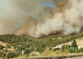 Selçuk’taki yangın Kuşadası’na sıçradı