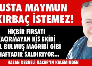 Usta Maymun Kırbaç İstemez..!