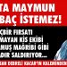 Usta Maymun Kırbaç İstemez..!