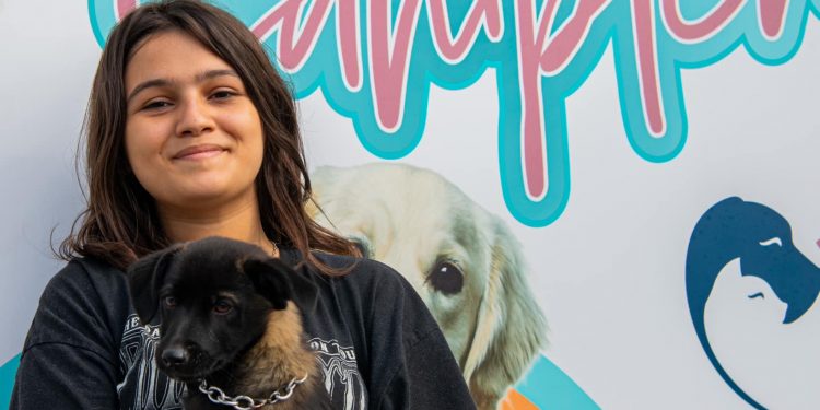 KUŞADASI BELEDİYESİ 2024 YILINDA 526 CAN DOSTU SICAK YUVAYA KAVUŞTURDU