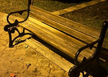 KUŞADASI’NDA VANDALLAR CEZASIZ KALMADI