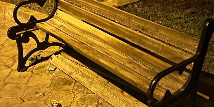 KUŞADASI’NDA VANDALLAR CEZASIZ KALMADI