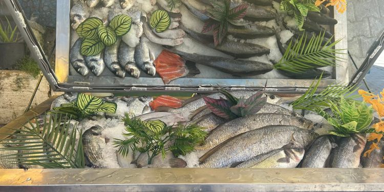 Kuşadası’nın Denizden Gelen Lezzet Durağı: Rakınızı Kapın, Gelin!