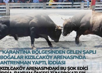 Kızılçaköy Arenasında Şok İddia..! Saha’da Karantina Bölgesinden Getirilen Danalara Antrenmanmı Yaptırıldı İddiası
