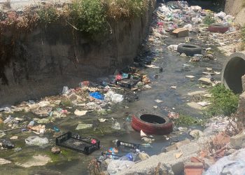 Söke Halkı Sinek ve Çevre Kirliliği Nedeniyle İsyan Bayrağını Çekti: