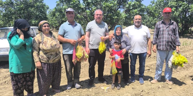 CHP’li Karakoz’dan İncir Üreticilerine Destek Mesajı