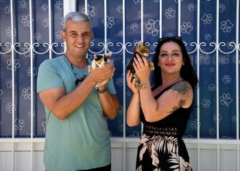 KUŞADASI BELEDİYESİ VETERİNER İŞLERİ MÜDÜRÜ UYARDI: PATİLİ DOSTLARINIZI AŞIRI SICAKTAN KORUYUN