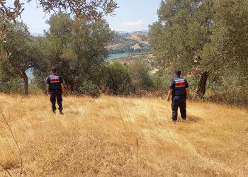 Aydın’da Orman Yangınlarına Karşı Sıkı Tedbirler Alındı