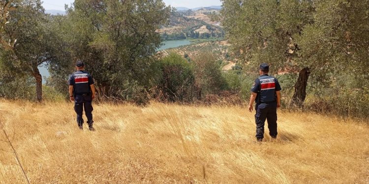 Aydın’da Orman Yangınlarına Karşı Sıkı Tedbirler Alındı