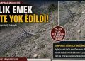 GERMENCİK’TE TARTIŞMALI KESİM…!İNCİRİN MERKEZİNDE 30 YILLIK AĞAÇLAR YOK EDİLDİ