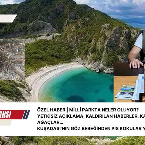 MİLLİ PARKTA NELER OLUYOR?